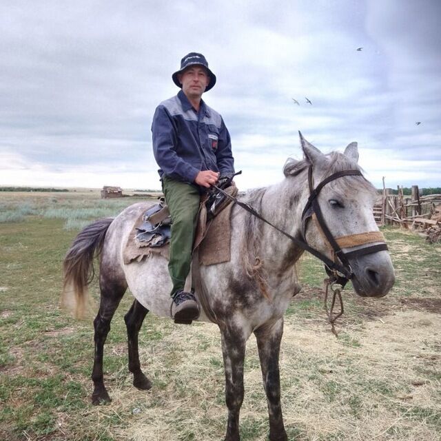 ���� 38651592 ������� �����, 39 ���, ���� ���������� � �����