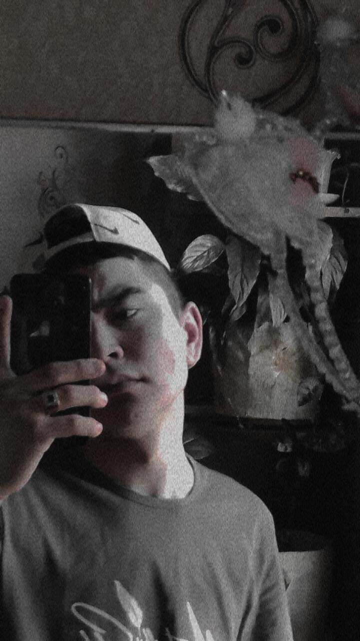  43527782  , 20 ,    