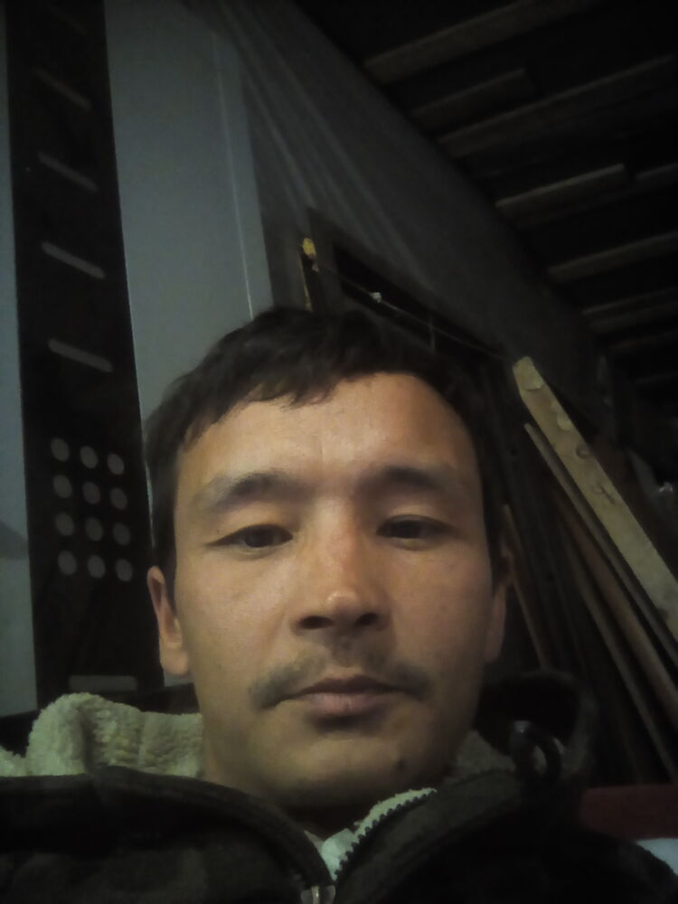  51732832  , 40 ,    