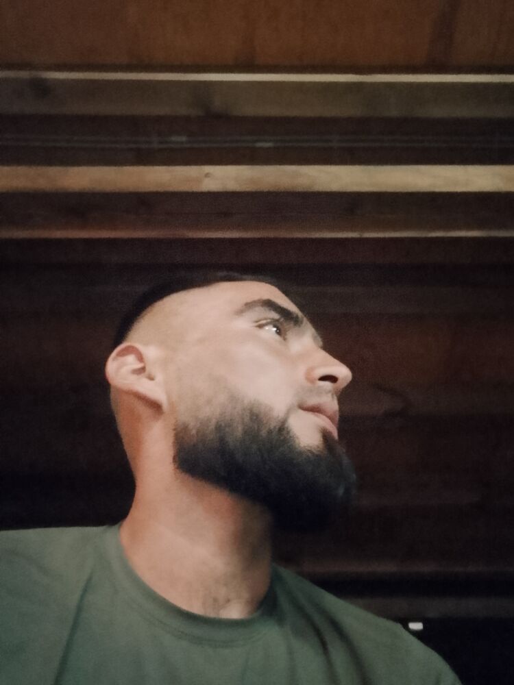  53075182  , 29 ,    