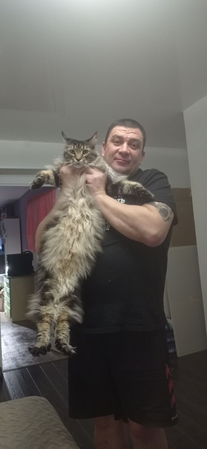 ���� 53658842 ������� ����, 46 ���, ���� ���������� � ������