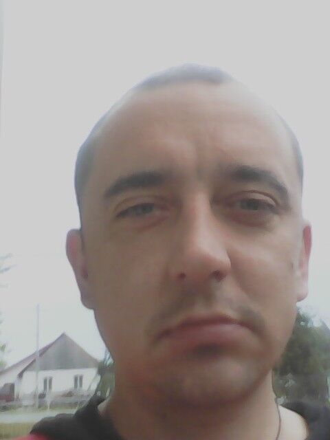  13685402  , 43 ,    