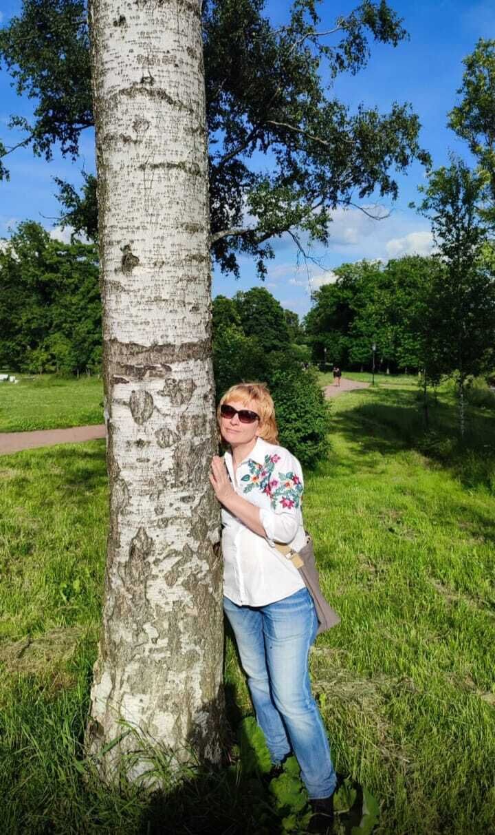  54338252  , 53 ,    -