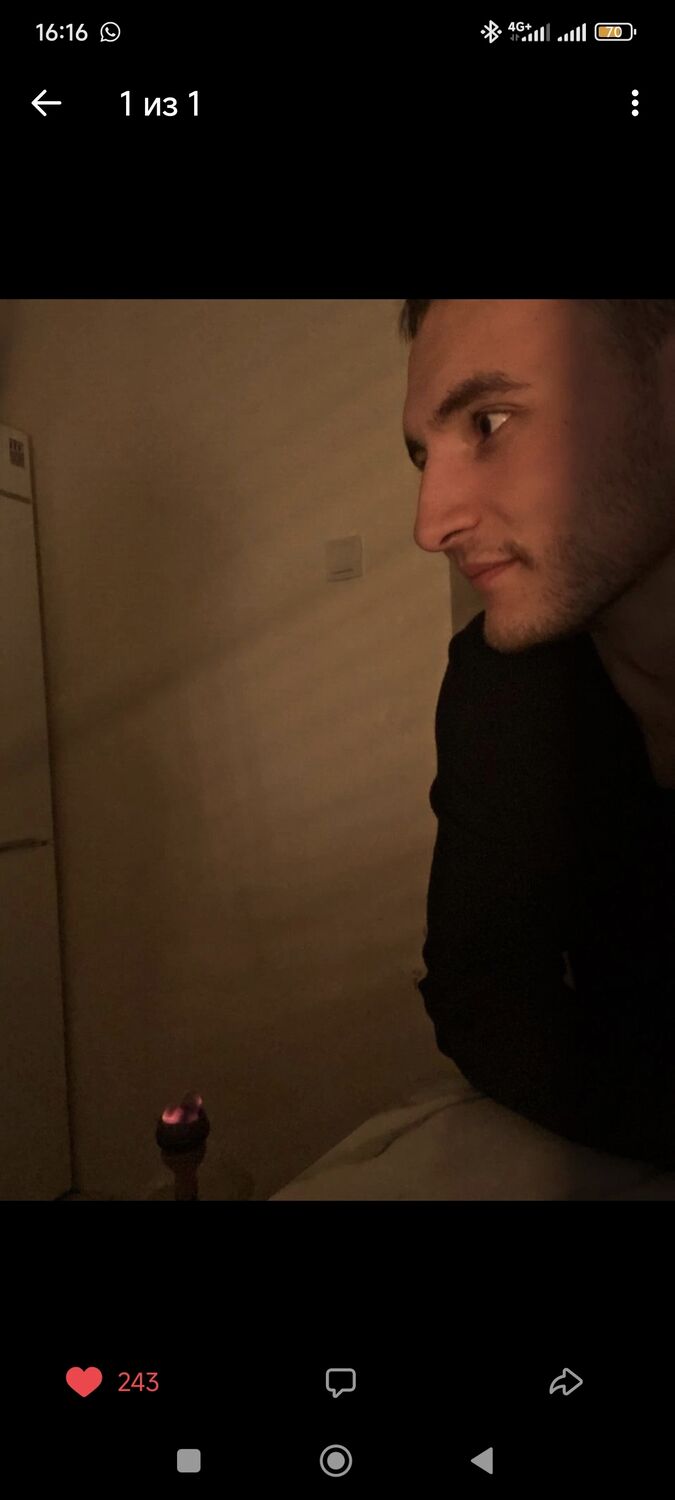 44558182  , 29 ,    