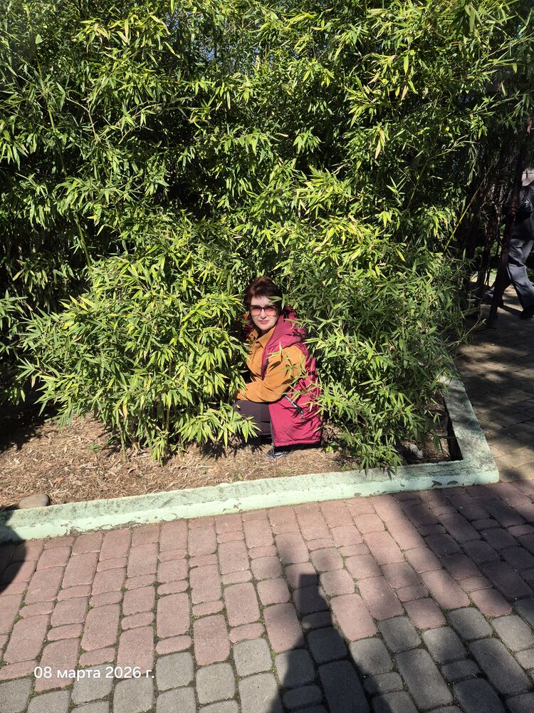 ���� 56219602 ������� �������, 56 ���, ���� ���������� � �������