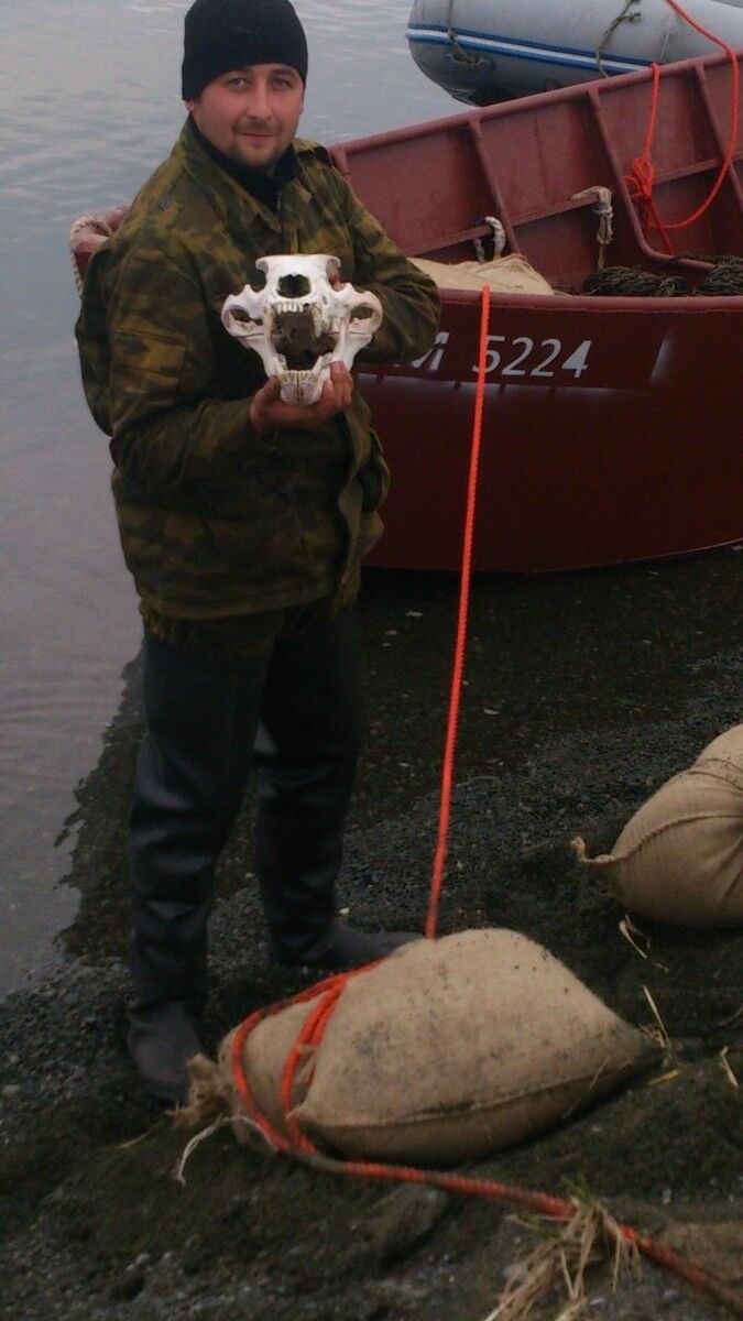 ���������� �������������-����������, ���� ������� �������, 39 ���, ������������ ��� ������, ����� � ���������, c�������� ���������