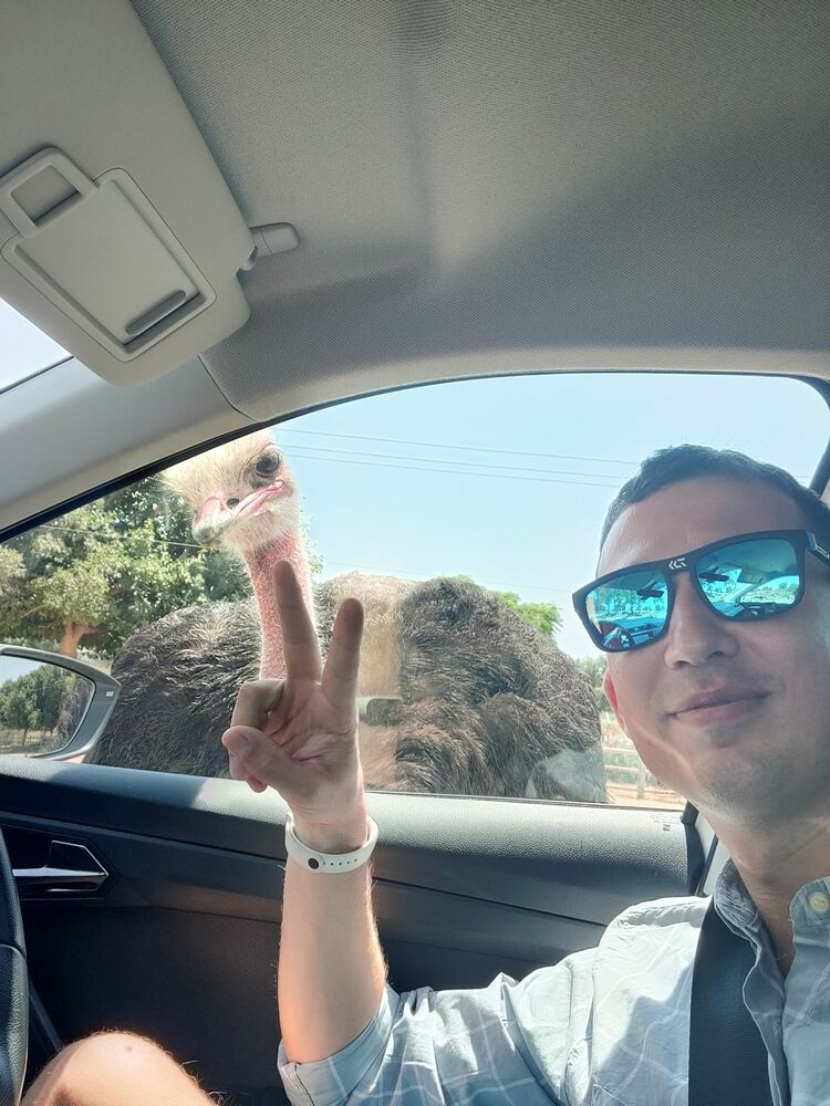 27169582  , 31 ,    Ramat Gan