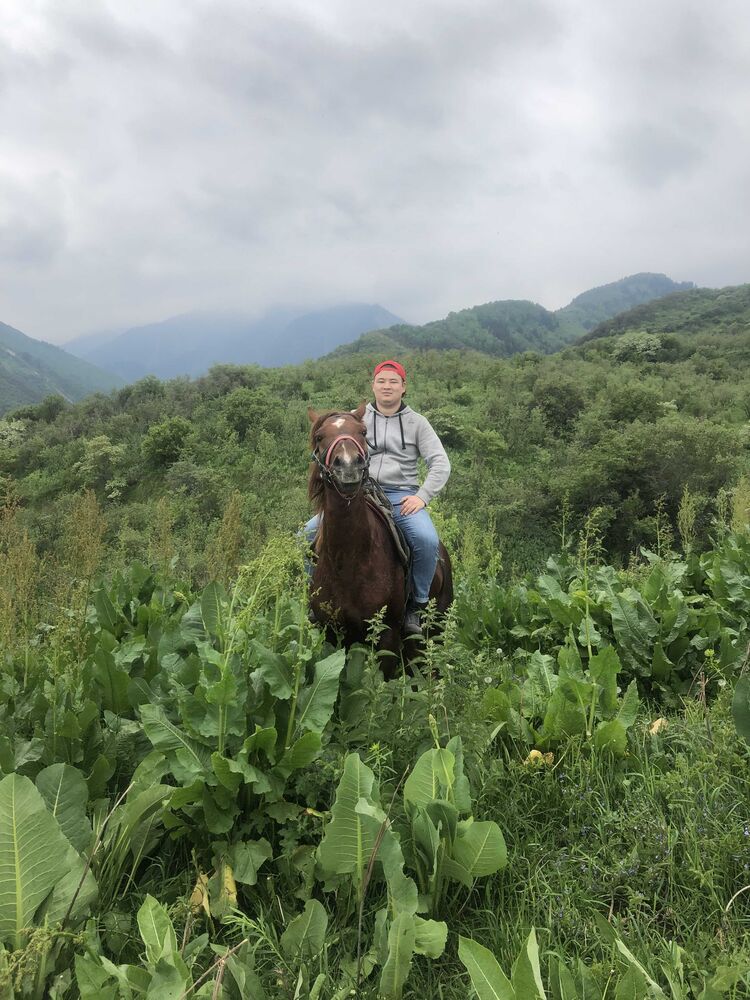 ���������� ������, ���� ������� �����, 27 ���, ������������ ��� ������, ����� � ���������