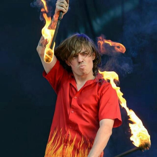 ���� 24243052 ������� ��������, 29 ���, ���� ���������� � ���������