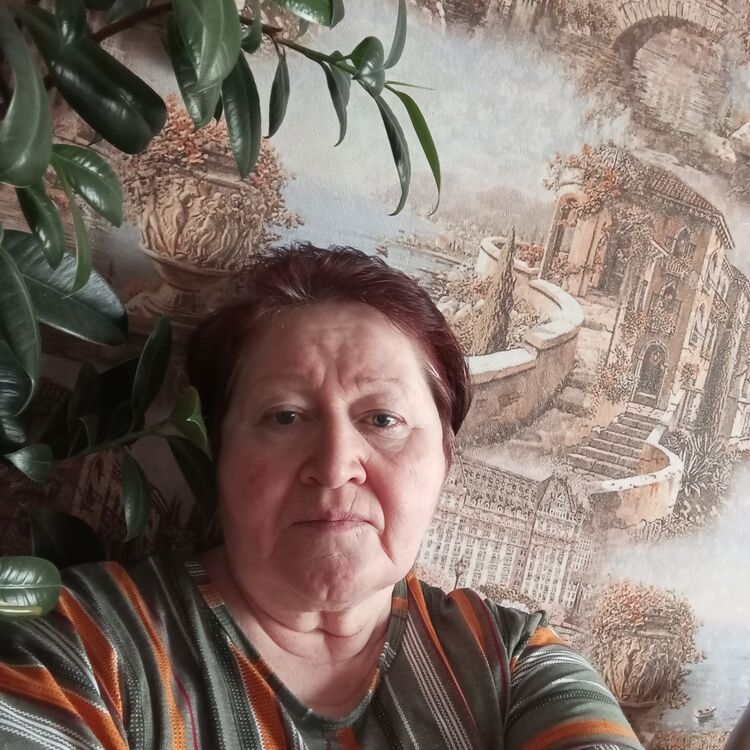 ���������� �������, ���� ������� �����, 66 ���, ������������ ��� c�������� ���������, ���������