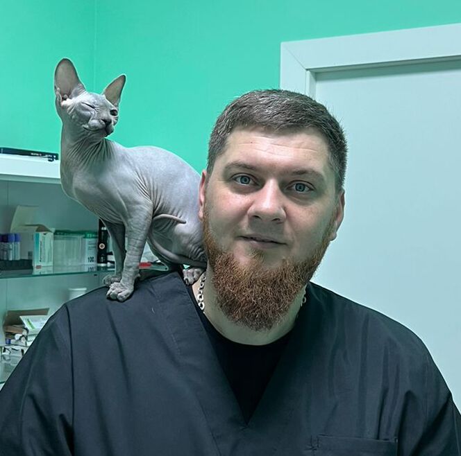 ���� 36871742 ������� ������, 37 ���, ���� ���������� � ����������