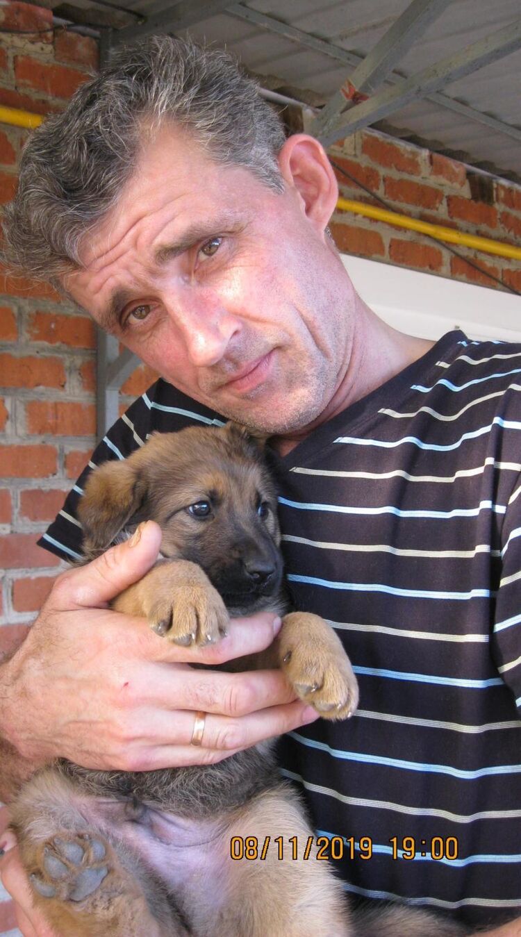 ���������� ������������, ���� ������� ���������, 51 ���, ������������ ��� ������, ����� � ���������