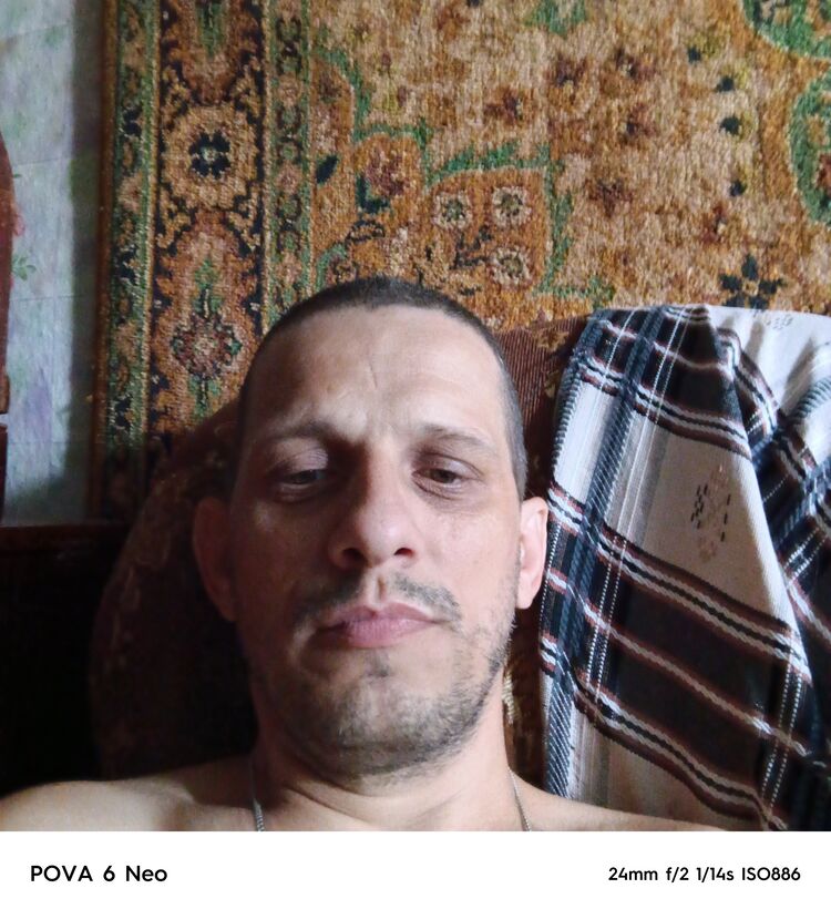  44209592  , 41 ,    -