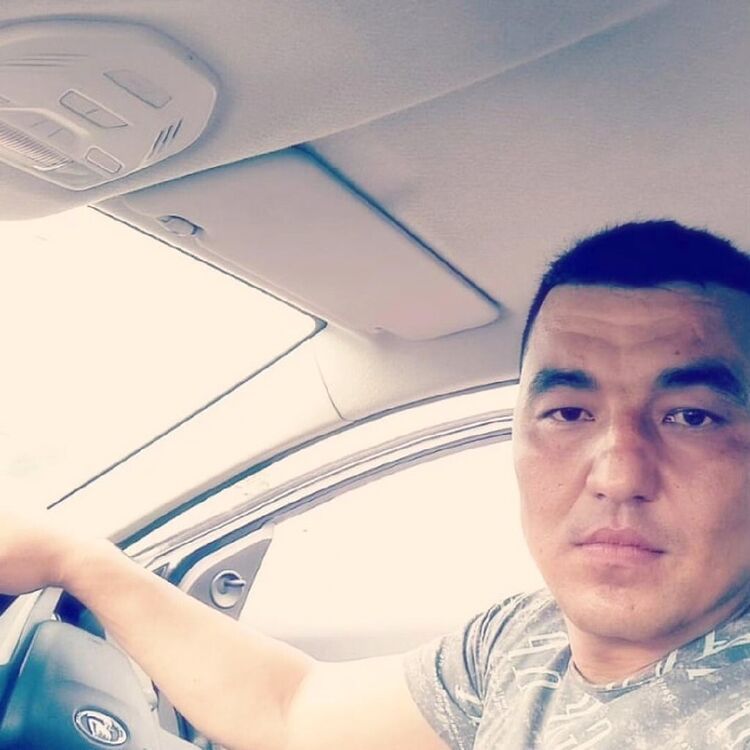  49955892  , 37 ,    