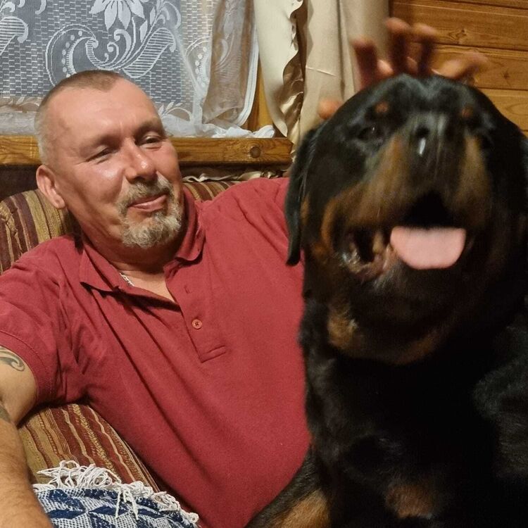  ,   , 53 ,   