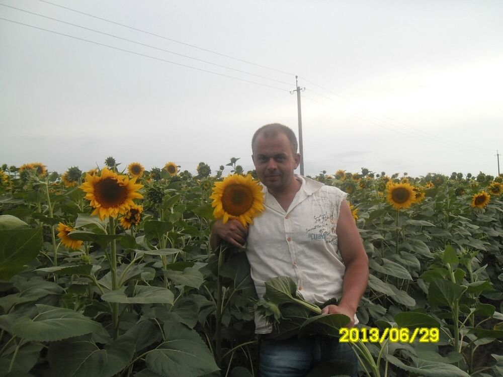  9679502  ALEX, 41 ,    