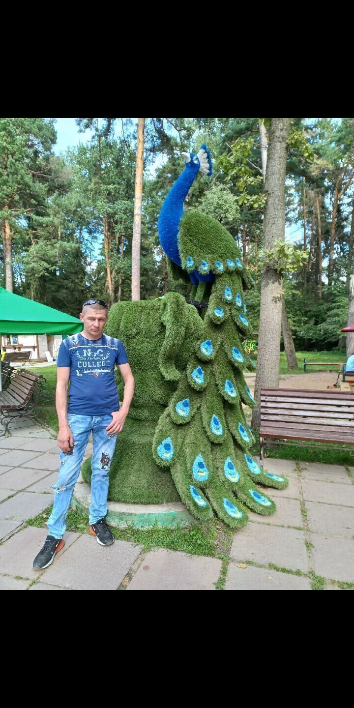  45225872  , 49 ,    