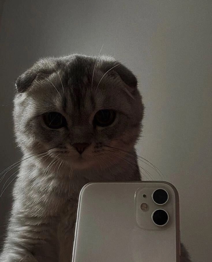 ���� 28213022 ����� �����, 25 ���, ���� ���������� � ������