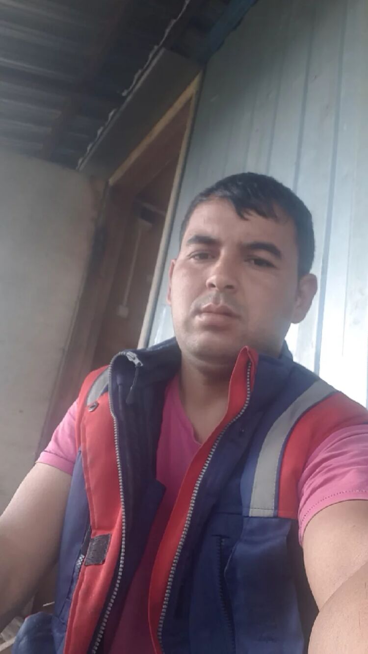  31588162  , 36 ,    -