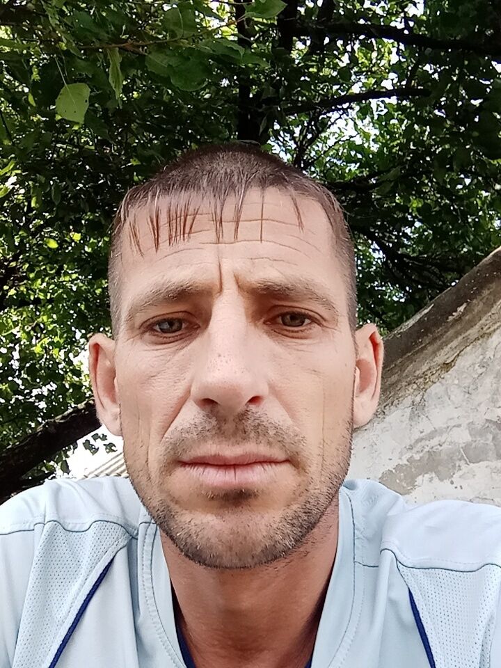  28727562  , 41 ,    