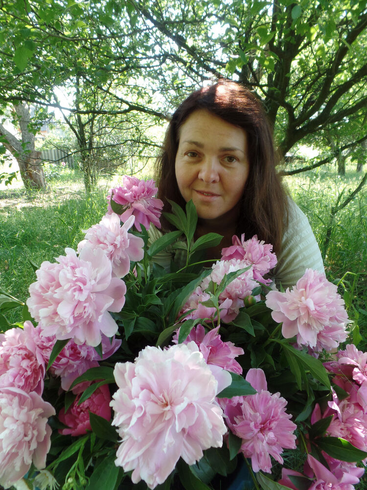 ���� 7091262 ������� Lena, 50 ���, ���� ���������� � ��������