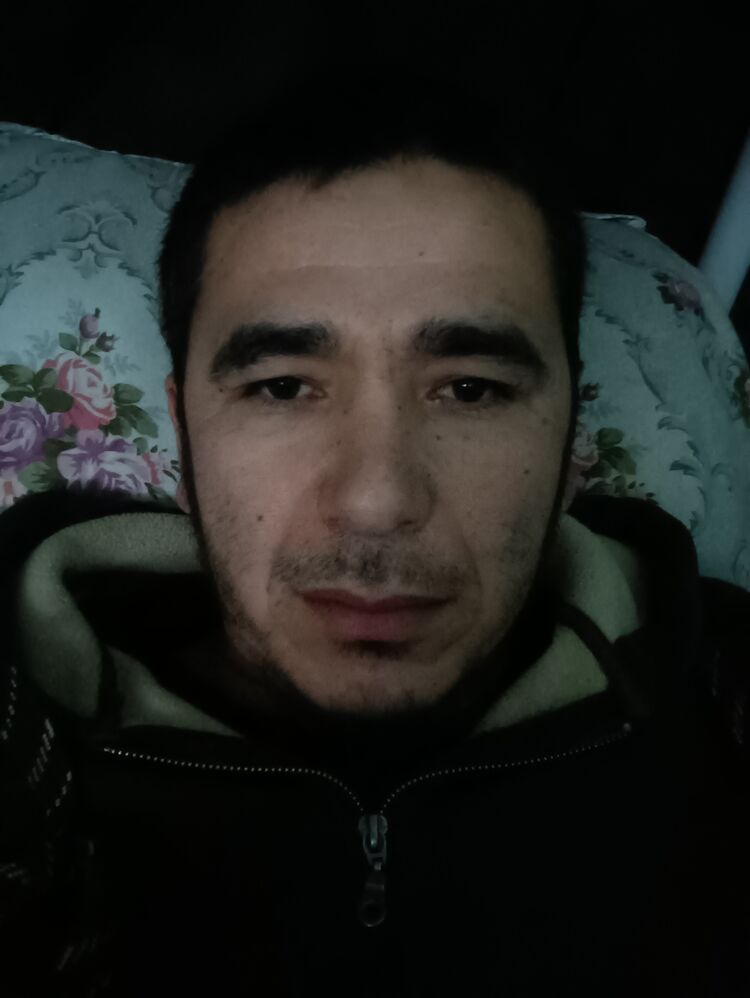 33160072  , 36 ,    