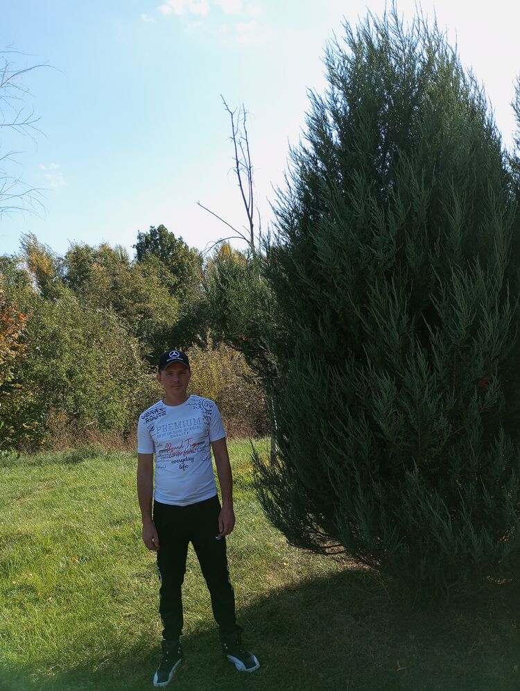 ���������� ������, ���� ������� ������, 38 ���, ������������ ��� ������, ����� � ���������, c�������� ���������