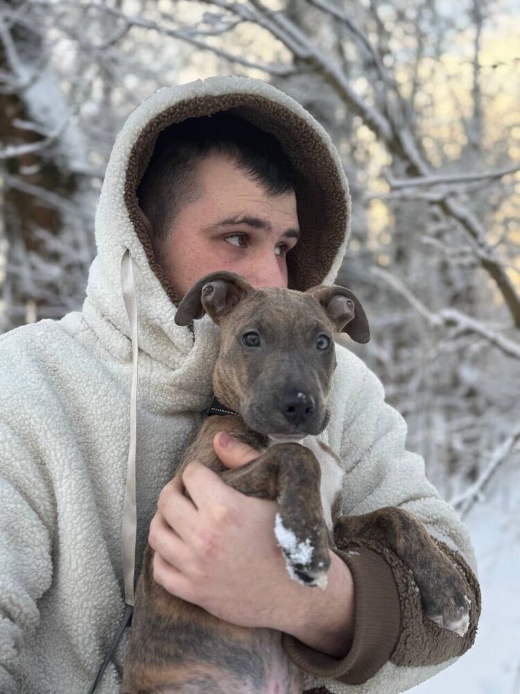 ���� 52467852 ����� ������, 25 ���, ���� ���������� � ������