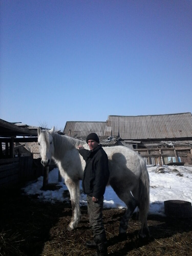 ���������� �������, ���� ������� ������, 39 ���, ������������ ��� c�������� ���������, ���������