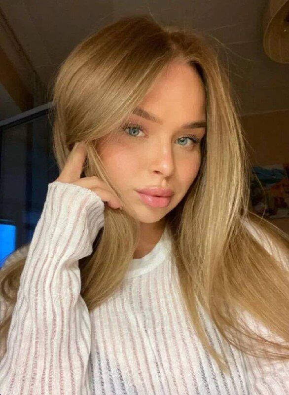 ���� 51386072 ������� ��������, 24 ����, ���� ���������� � �����-����������