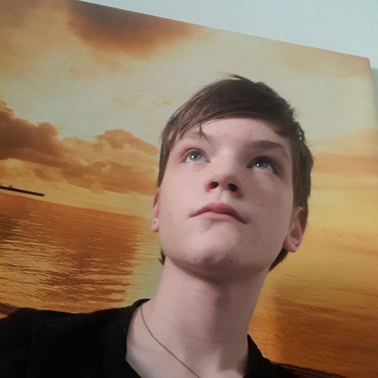 ���������� ������, ���� ����� �������, 20 ���, ������������ ��� ������, ����� � ���������