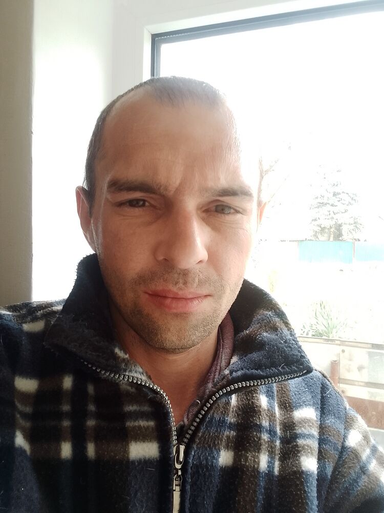  33729272  , 38 ,    