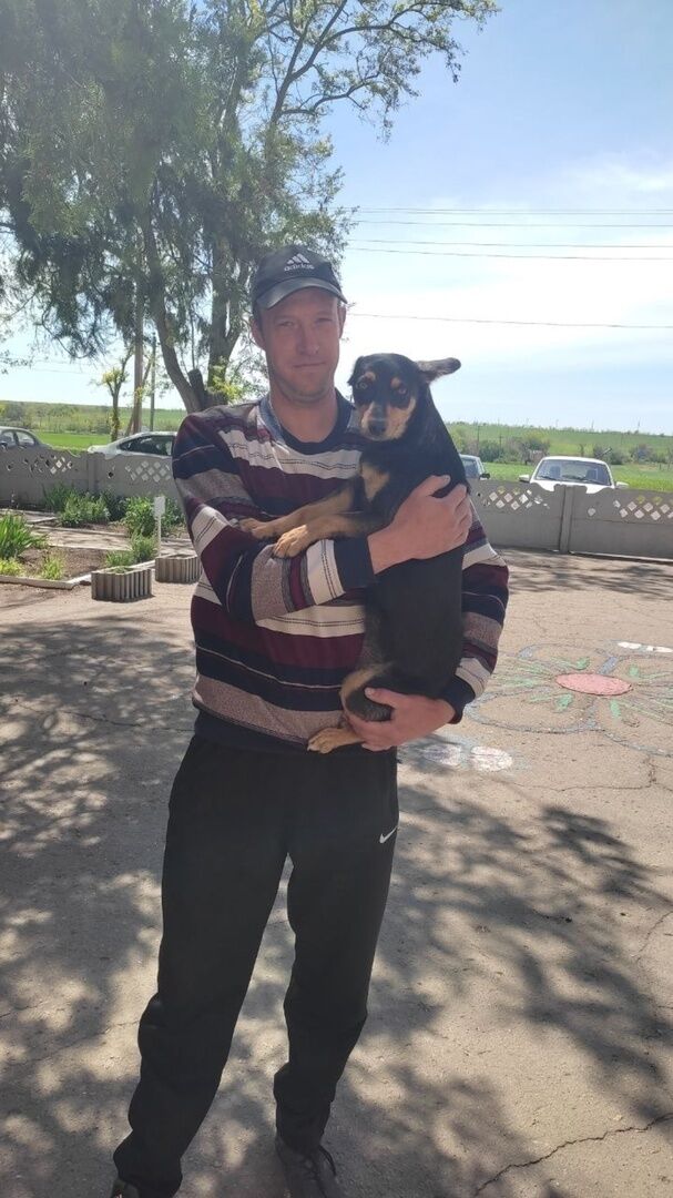 ���� 55154532 ������� ������, 39 ���, ���� ���������� � ����������