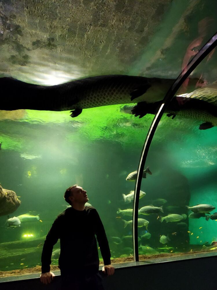 ���� 41391532 ����� �����, 23 ����, ���� ���������� � ������