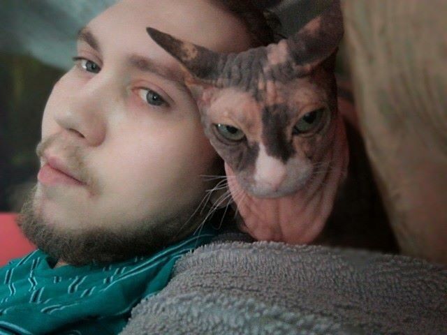 ���������� ���������, ���� ������� ���, 33 ����, ������������ ��� ������, ����� � ���������, c�������� ���������