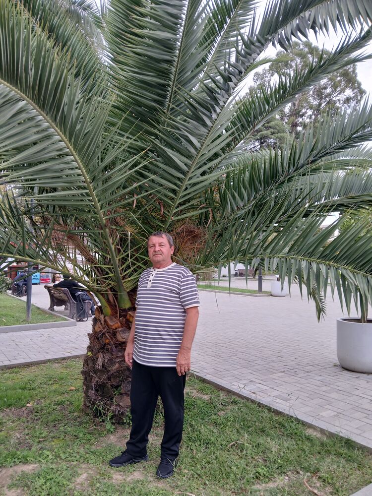 ���������� ����-��, ���� ������� ������, 55 ���, ������������ ��� ������, ����� � ���������