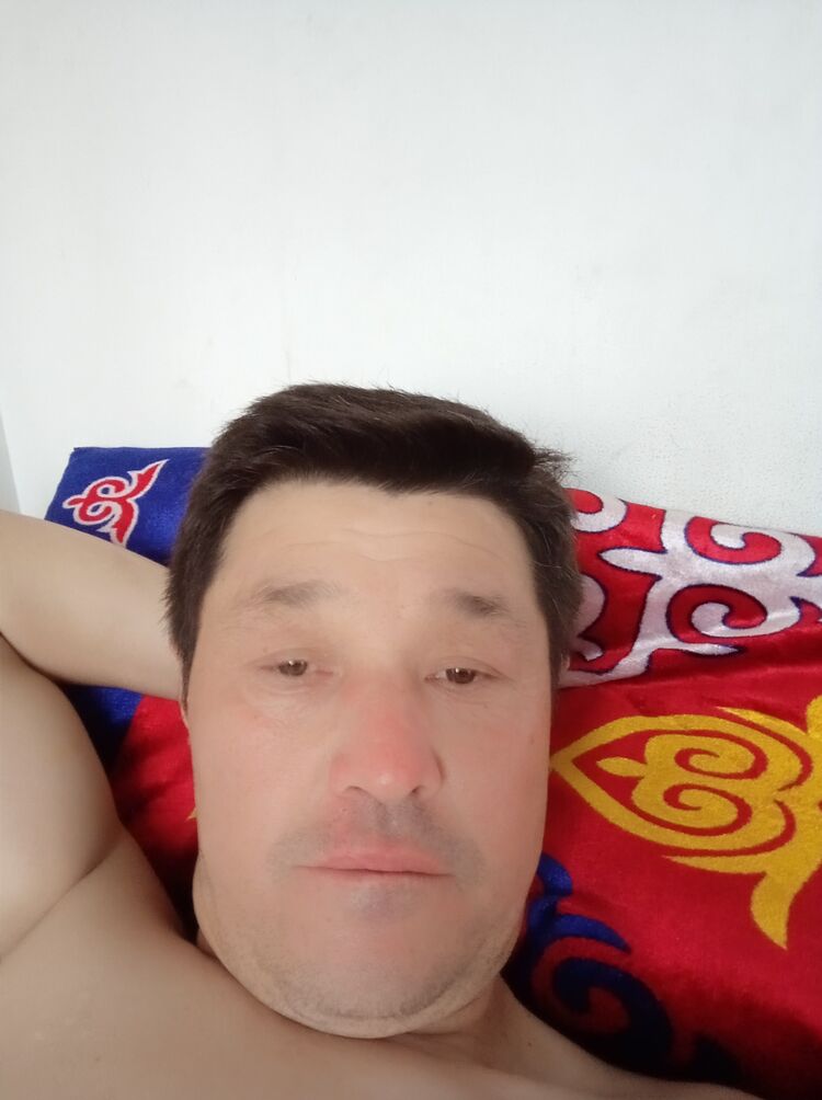  23967912  , 49 ,    