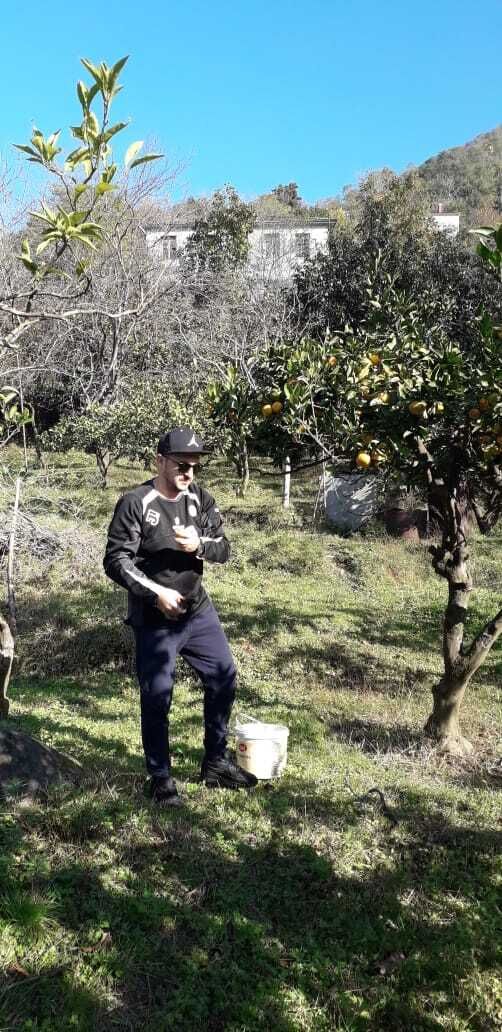  36336102  Giorgi, 38 ,    
