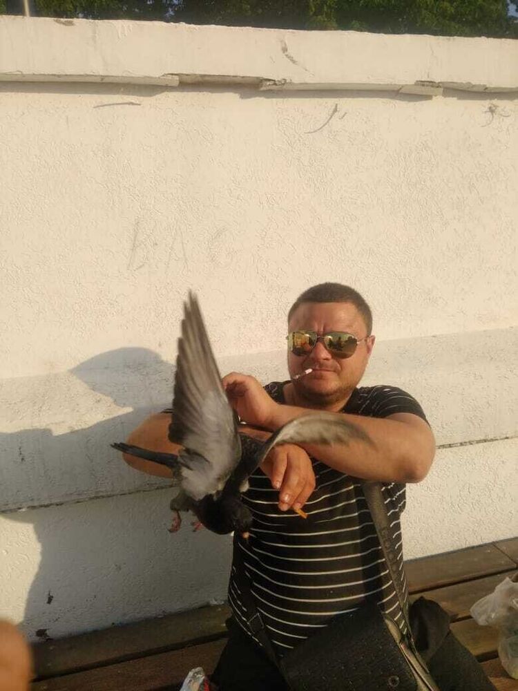 ���������� ��������, ���� ������� �����, 38 ���, ������������ ��� ������