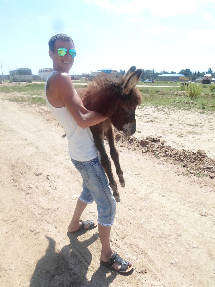 ���� 4039692 ������� �����, 40 ���, ���� ���������� � ��������