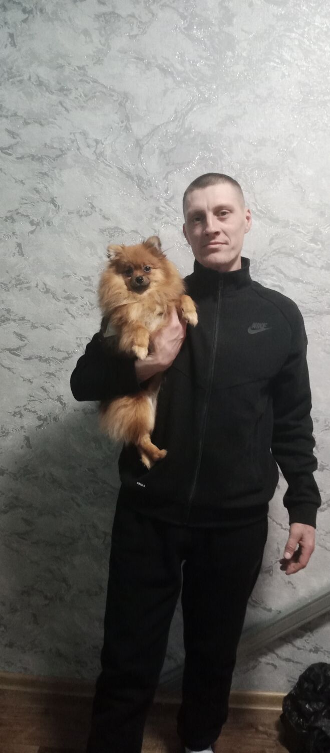 ���� 55592352 ������� �������, 30 ���, ���� ���������� � �������