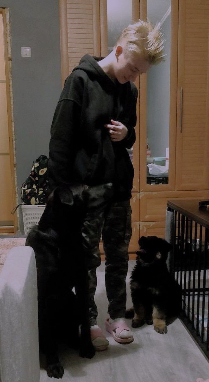 ���������� ������, ���� ������� �����, 20 ���, ������������ ��� ����� � ���������, c�������� ���������, ���������