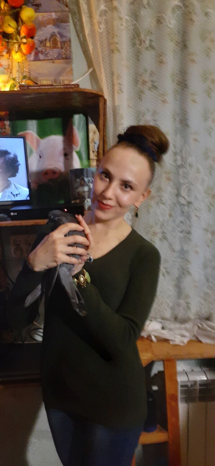 ���������� ������, ���� ������� Gael, 35 ���, ������������ ��� ������, ����� � ���������, c�������� ���������