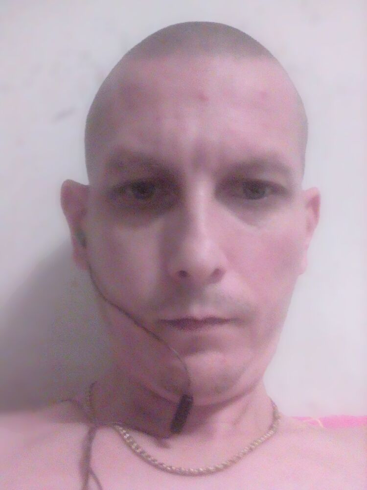  23292602  , 41 ,    