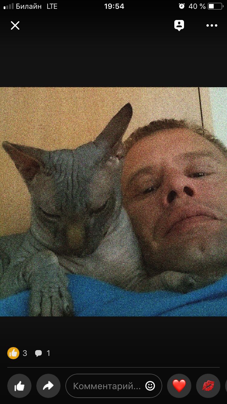 ���������� �������, ���� ������� ��������, 42 ����, ������������ ��� ������, ����� � ���������, c�������� ���������