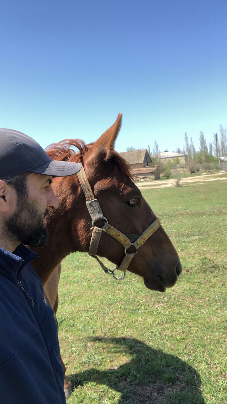 ���������� ���������, ���� ������� �����, 40 ���, ������������ ��� ������, ����� � ���������, c�������� ���������, ���������