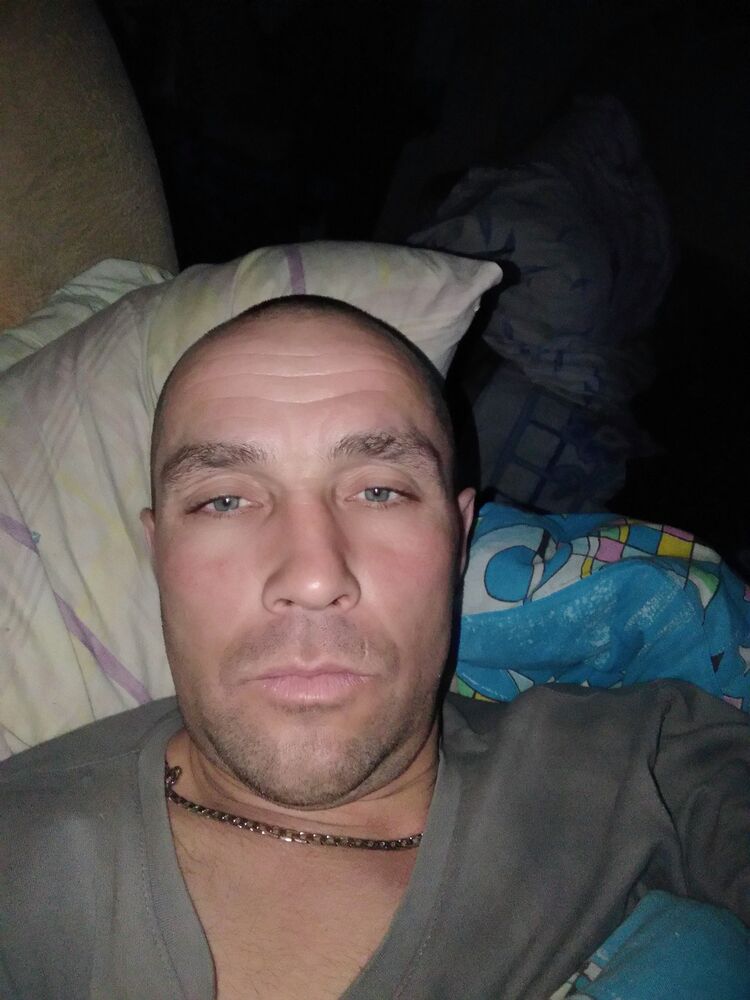  33454022  , 41 ,    