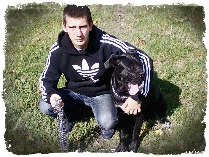  -,   , 35 ,   