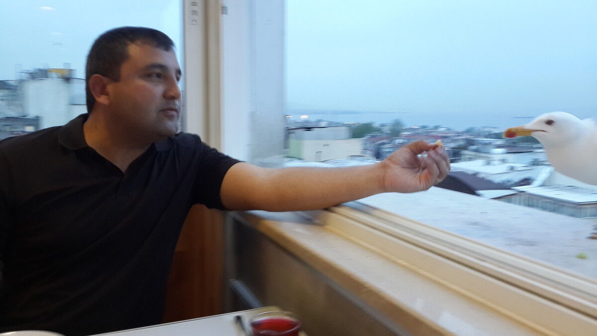  ,   Jasur, 44 ,     , c 