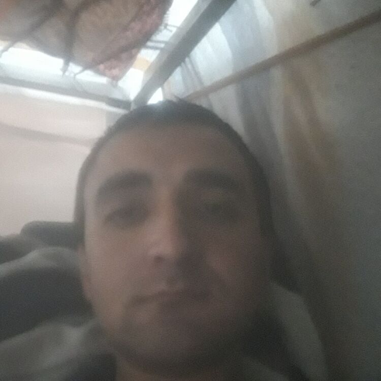 ���� 39943972 ������� ���������, 32 ����, ���� ���������� � �������������